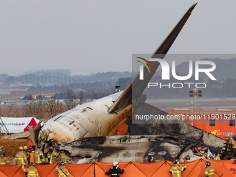 Fire authorities search for the missing and recover the deceased at the site of an accident near Muan International Airport in Jeollanam-do,...