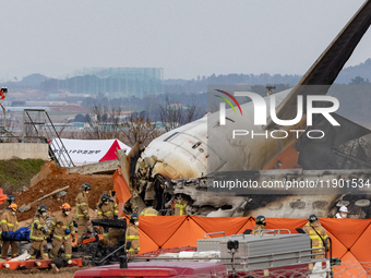 Fire authorities search for the missing and recover the deceased at the site of an accident near Muan International Airport in Jeollanam-do,...