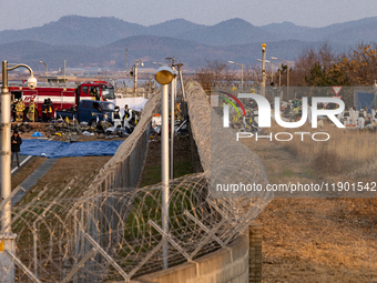 Fire authorities search for the missing and recover the deceased at the site of an accident near Muan International Airport in Jeollanam-do,...