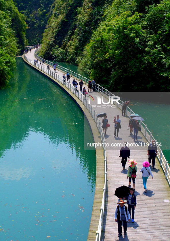 Tourists walk on a 500-meter-long plank road built over the river in Xuan'en County, central China's Hubei Province, May 1, 2016.