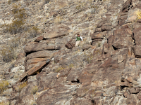 A rescue team climbs a hill to recover the body of the immigration officer who loses his life during an attack with rocks thrown by migrants...