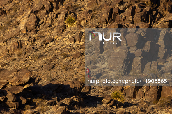 A rescue team climbs a hill to recover the body of the immigration officer who loses his life during an attack with rocks thrown by migrants...