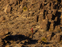 A rescue team climbs a hill to recover the body of the immigration officer who loses his life during an attack with rocks thrown by migrants...