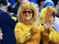 DETROIT,MICHIGAN-JANUARY 5:  A fan in a Lions costume cheers during a game between the Detroit Lions and the Minnesota Vikings in Detroit, M...