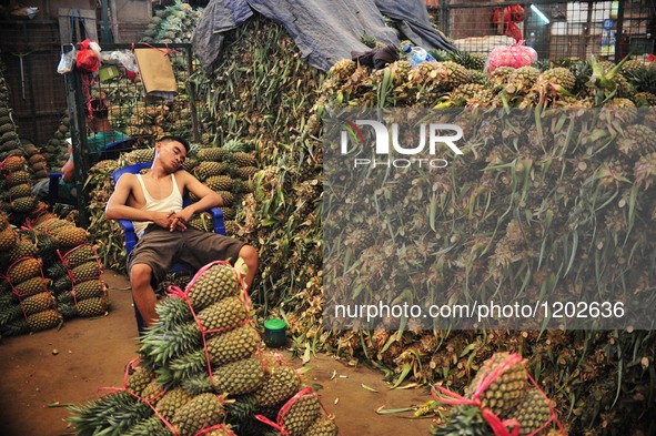 An Indonesian worker sleeps among pineapples at a fresh food and vegetable market in Jakarta, Indonesia, May 10, 2016.