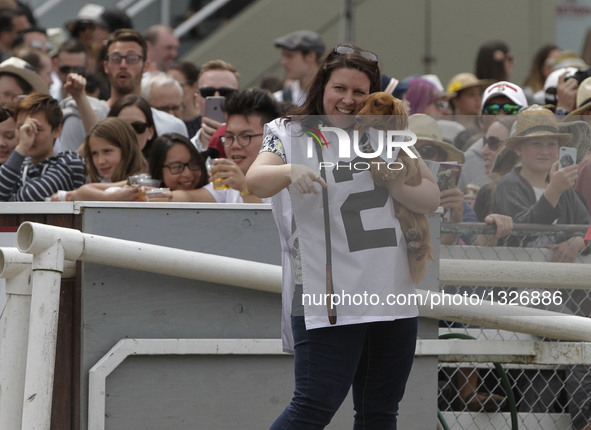 A woman holds her Wiener dog during the Wiener Dog Championships at the Hastings Racecourse in Vancouver, Canada, July 10, 2016. More than 6...