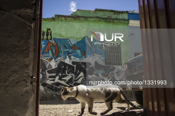 On June 22nd is performed in the San Bernardo neighborhood of Bogota, Colombia a raid that takes by surprise the inhabitants of the area, wh...