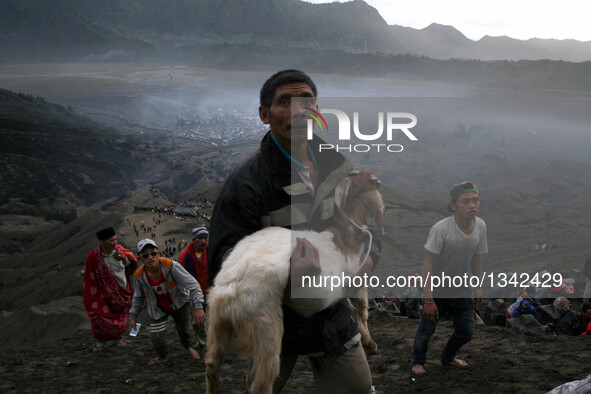 A devotee holds a goat as an offering in Mount Bromo during the traditional Kasada festival in Probolinggo, East Java, Indonesia, July 21, 2...