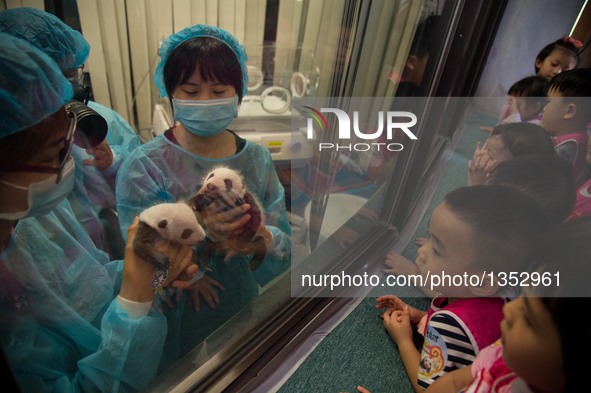 Children look at giant panda cubs Dabao (L) and Xiaobao in Macao Special Administrative Region, south China, July 26, 2016. The female panda...