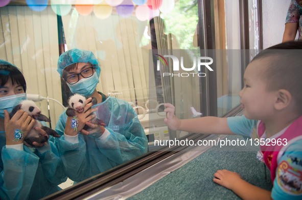 A child looks at giant panda cubs Dabao (L) and Xiaobao in Macao Special Administrative Region, south China, July 26, 2016. The female panda...