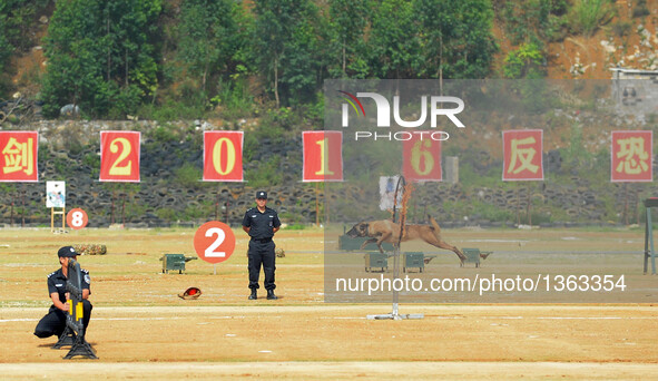 A patrol dog jumps through a fire circle during an anti-terrorism drill in Fusui County of Chongzuo City, south China's Guangxi Zhuang Auton...