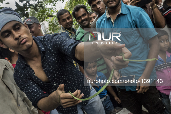 A man plays with a snake during the festival of the Hindu snake goddess "Manasha" at Khedaitala, some 75 kms north of Kolkata, capital of ea...