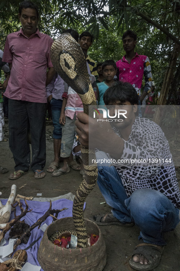 An Indian snake charmer holds a snake during the festival of the Hindu snake goddess "Manasha" at Khedaitala, some 75 kms north of Kolkata,...