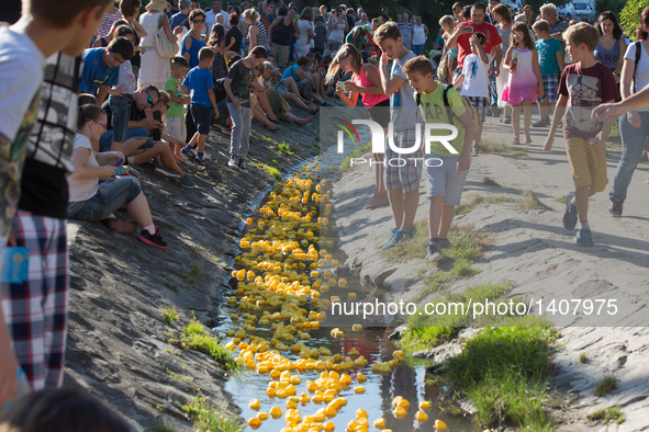 People watch a thousand rubber ducks race on Bukkos creek during a charity event in Szentendre, Hungary, on Aug. 27, 2016.