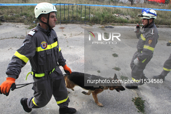 Rescuers with a sniffer dog participate in an earthquake exercise held in Bucharest, Romania, Nov. 1, 2016.   