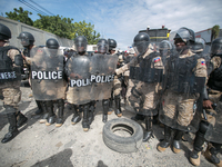 Port-au-Prince, Haiti -November 22, 2016 - On November 22, 2016, two days after the general elections, supporters of Fanmi Lavalas political...