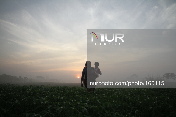 A woman holds her grand daughter walks in the vegetable field during the sun rise outside of Dhaka, Bangladesh on October 25, 2016. Vegetabl...