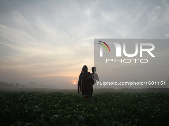 A woman holds her grand daughter walks in the vegetable field during the sun rise outside of Dhaka, Bangladesh on October 25, 2016. Vegetabl...