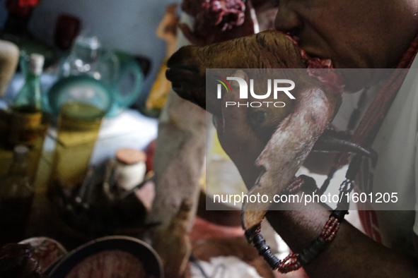 A man takes fresh blood on the head of a ram that has been offered to spiritual deities. Members of the Jurema religion make animal sacrific...