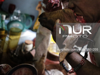 A man takes fresh blood on the head of a ram that has been offered to spiritual deities. Members of the Jurema religion make animal sacrific...