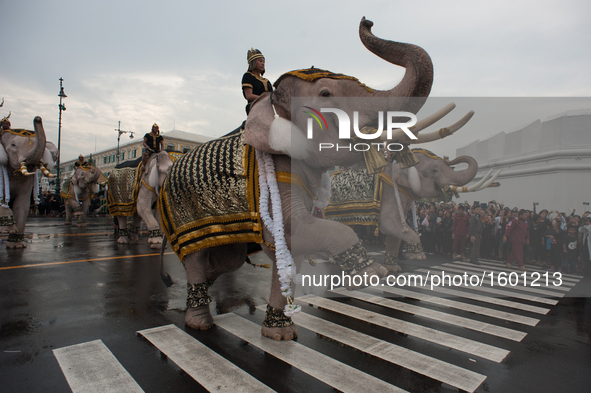  Elephants pay respects to the late King Bhumibol Adulyadej in front of the Grand Palace Bangkok, Thailand, on November 8, 2016. Thailand's...