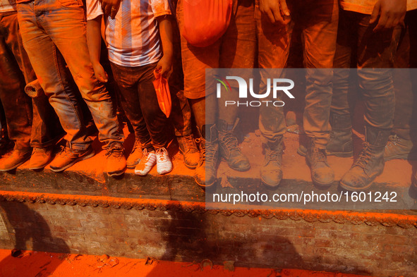 Devotees are seen covered with vermillion powder celebrating during the "Sindoor Jatra" vermillion powder festival at Thimi, in Bhaktapur, N...