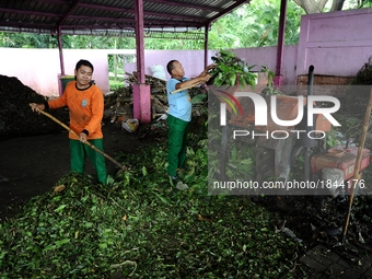 Workers work in compost house.
Compost houses reduce a large amount of waste by primarily targeting organic waste, more than half the amount...