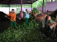 Workers work in compost house.
Compost houses reduce a large amount of waste by primarily targeting organic waste, more than half the amount...