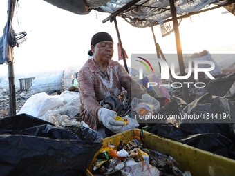 Nurtinah sorts the garbage.
Nurtinah, 47, a farm worker from Pucang Anom village, Cerme sub-district, Bondowoso district, East Java Province...