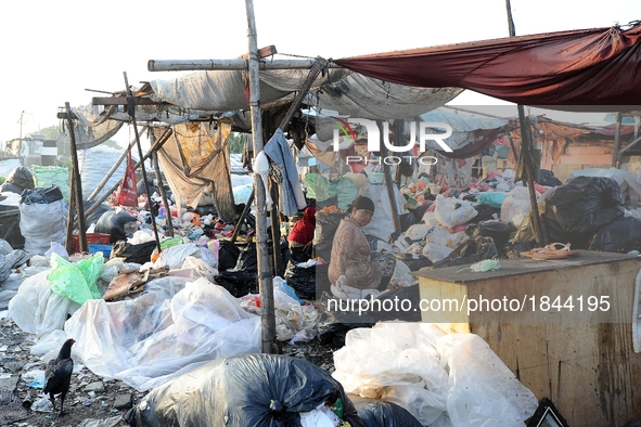 Nurtinah sorts the garbage.
Nurtinah, 47, a farm worker from Pucang Anom village, Cerme sub-district, Bondowoso district, East Java Province...