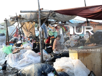 Nurtinah sorts the garbage.
Nurtinah, 47, a farm worker from Pucang Anom village, Cerme sub-district, Bondowoso district, East Java Province...