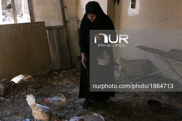 Syrian Umm Mohammed, feeds her chickens at her home in the rebel-held town of Douma, on the outskirts of the capital Damascus, on March 25,...