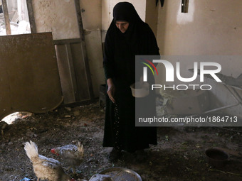 Syrian Umm Mohammed, feeds her chickens at her home in the rebel-held town of Douma, on the outskirts of the capital Damascus, on March 25,...