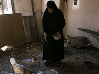 Syrian Umm Mohammed, feeds her chickens at her home in the rebel-held town of Douma, on the outskirts of the capital Damascus, on March 25,...