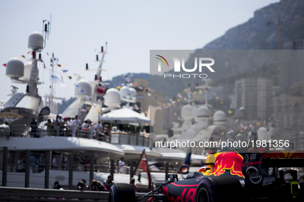 03 RICCIARDO Daniel from Australia of Red Bull Tag Heuer RB13 during the Monaco Grand Prix of the FIA Formula 1 championship, at Monaco on 2...