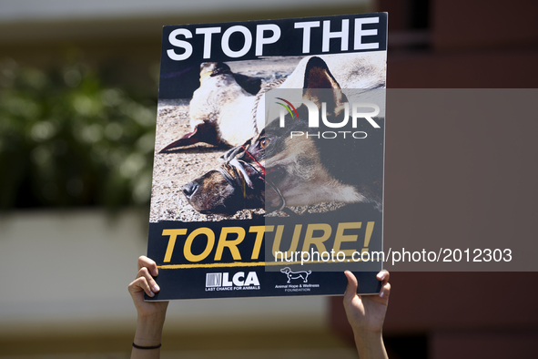Animal rights activists gather in front of the Chinese Consulate General in Los Angeles to protest China's dog meat trade and Yulin Dog Meat...
