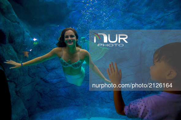 Visitors watch several mermaids while they swim in a giant tank during a show at an aquarium in Sao Paulo, Brazil, on August 14, 2017. 