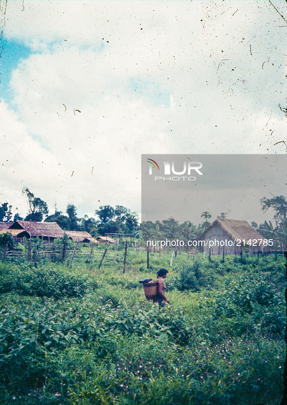 Village Daily Life - Vietnam War - Around 1967