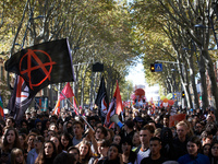 More than 15000 protesters took to the streets of Toulouse against the new Macron's reforms on the Work Code. It's a nation-wide action day...