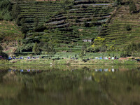 Visitors campsite at the bottom of Sikunir Mountain at Dieng. Dieng plateau in Central Java, is part of the district of Banjarnegara and Won...