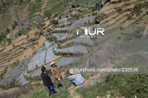 Farmers of patatoes farm in Dieng. Dieng plateau in Central Java, is part of the district of Banjarnegara and Wonosobo regency. It lies to t...