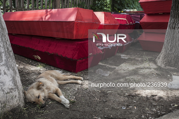 Coffins intended for Checens killed during clashes at the airport 