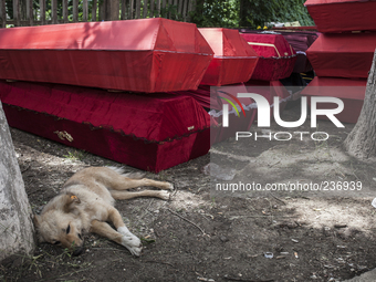 Coffins intended for Checens killed during clashes at the airport (