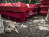 Coffins intended for Checens killed during clashes at the airport (