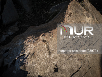 A message of pilgrim to Virgin Mary it's write on a stone in Apparition Hill, in Medjugorje. Almost one million people visit Medjugorje each...