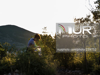 A woman on a steep path that leads on the very place of the apparitions of Our Lady,  called Podbrdo and Apparition Hill.Almost one million...