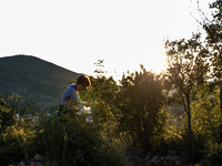 A woman on a steep path that leads on the very place of the apparitions of Our Lady,  called Podbrdo and Apparition Hill.Almost one million...