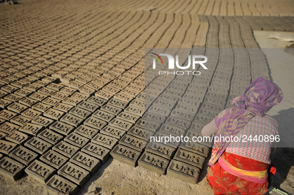 38 yrs old, KALIMAYA PARI making raw bricks at a brick factory in Lalitpur, Nepal on Tuesday, January 23, 2018. She used to make 600 - 700 b...