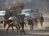 Workers carrying raw bricks using donkey at a brick factory in Lalitpur, Nepal on Tuesday, January 23, 2018. (