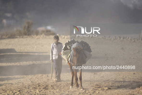 Workers carrying raw bricks using donkey at a brick factory in Lalitpur, Nepal on Tuesday, January 23, 2018. 